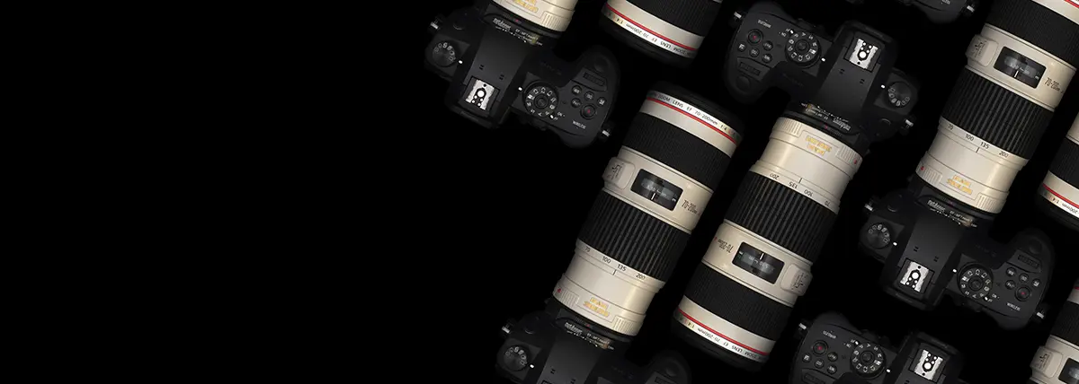 a picture of cameras with telescopic lenses